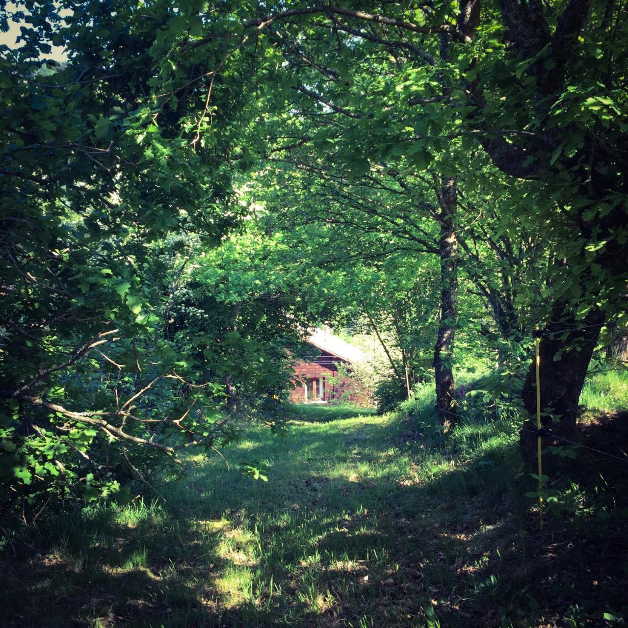 Silver Trees - Glamping Fresse-sur-Moselle Ngoại thất bức ảnh