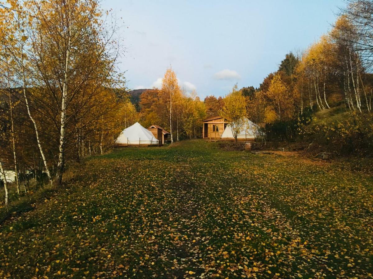 Silver Trees - Glamping Fresse-sur-Moselle Ngoại thất bức ảnh